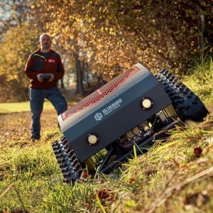 bluebird-fm-23-53-robot-tondeuse-dbroussailleuse-radiocommand-hybride-tondeuse-dbroussailleuse-radiocommande-bluebird-fm-23-53–42414_0_1684492852_IMG_64675234a3ae9